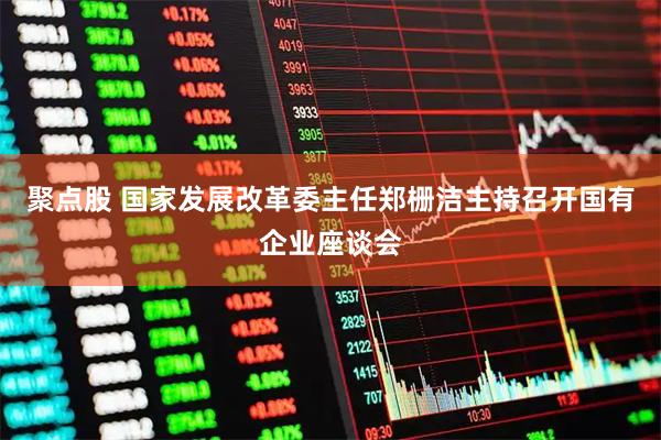 聚点股 国家发展改革委主任郑栅洁主持召开国有企业座谈会