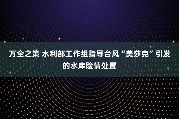 万全之策 水利部工作组指导台风“美莎克”引发的水库险情处置